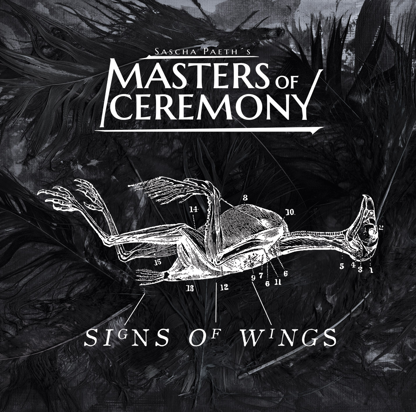 SASCHA PAETH’S MASTERS OF CEREMONY - “Signs of Wings”